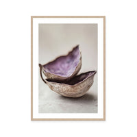 Whispering Shells