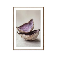 Whispering Shells