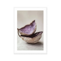 Whispering Shells