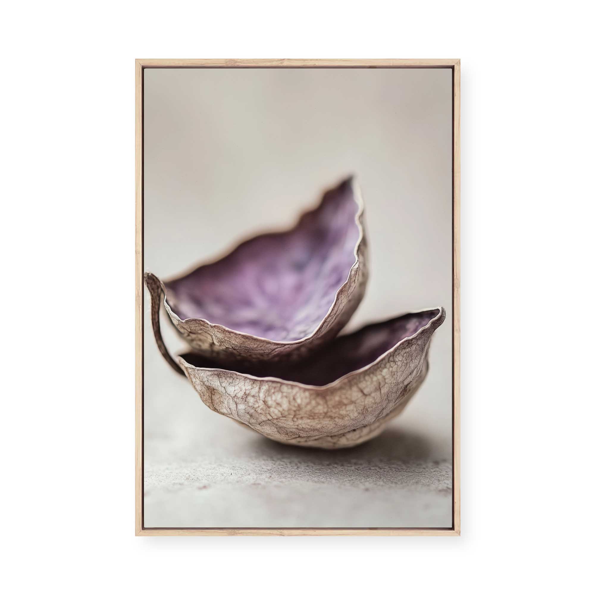 Whispering Shells | Framed Canvas