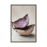 Whispering Shells | Framed Canvas