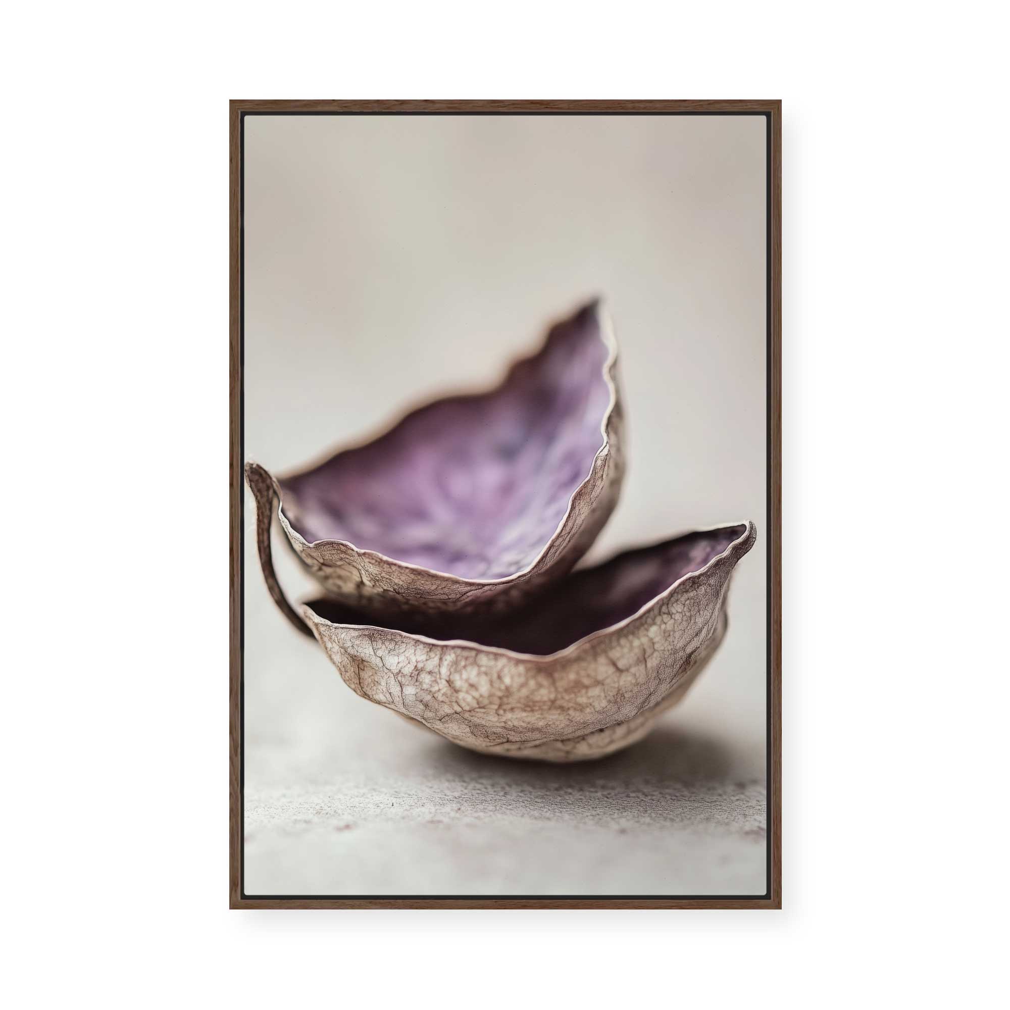 Whispering Shells | Framed Canvas