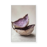 Whispering Shells | Framed Canvas