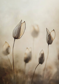 Whispering Nature