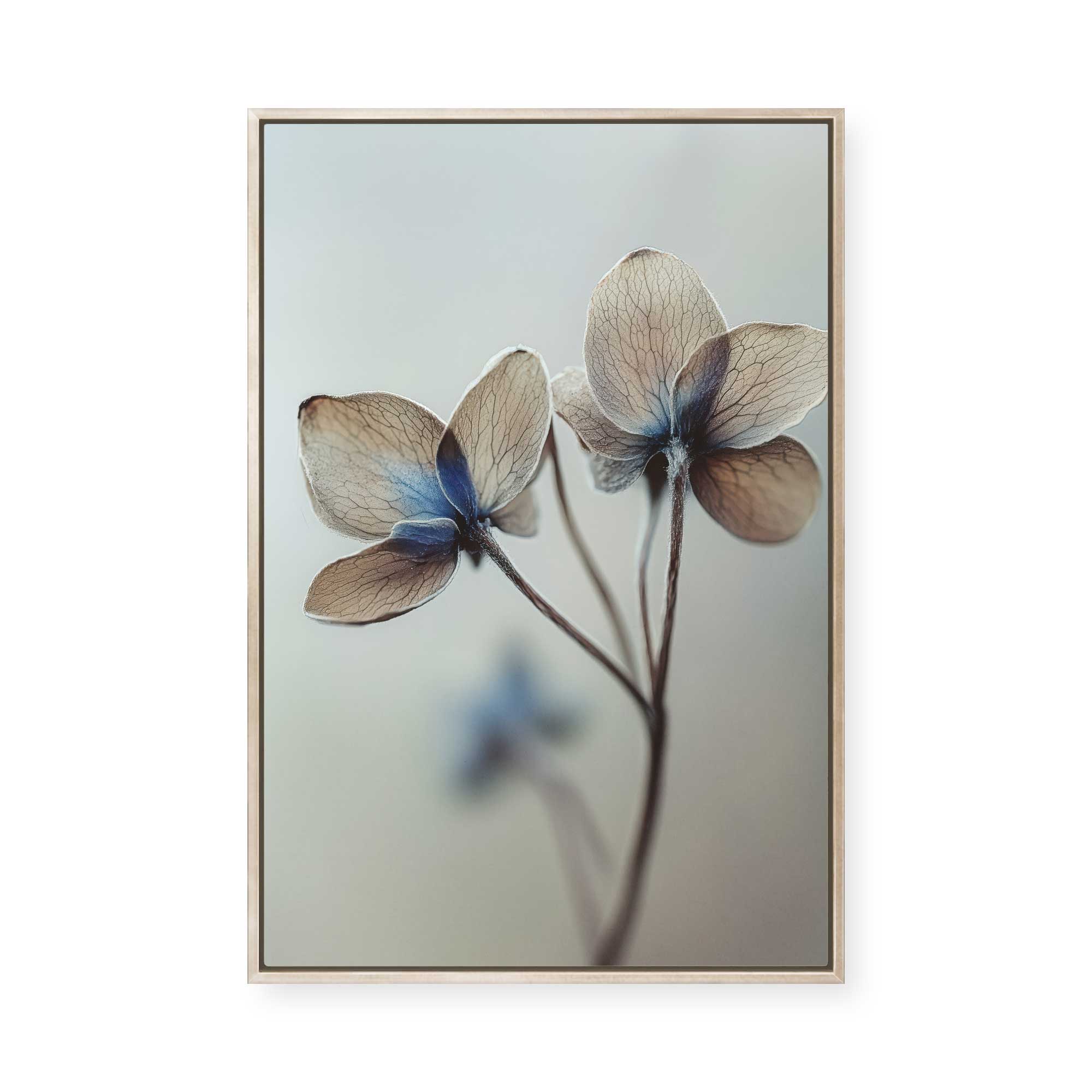 Whispers of Petals | Framed Canvas