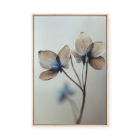 Whispers of Petals | Framed Canvas
