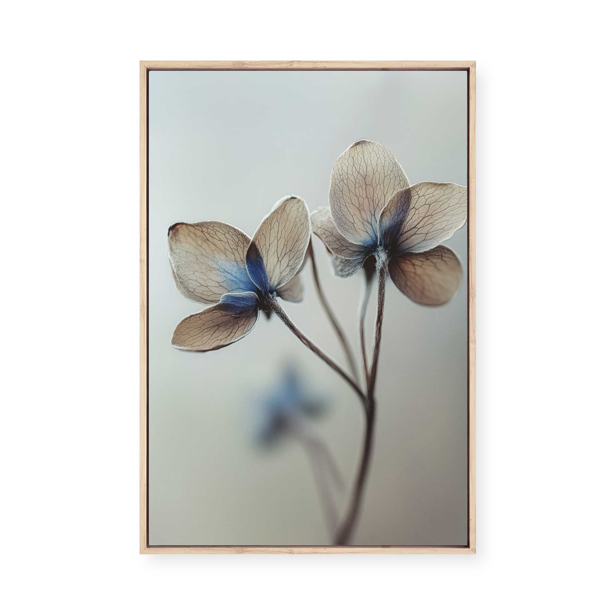 Whispers of Petals | Framed Canvas