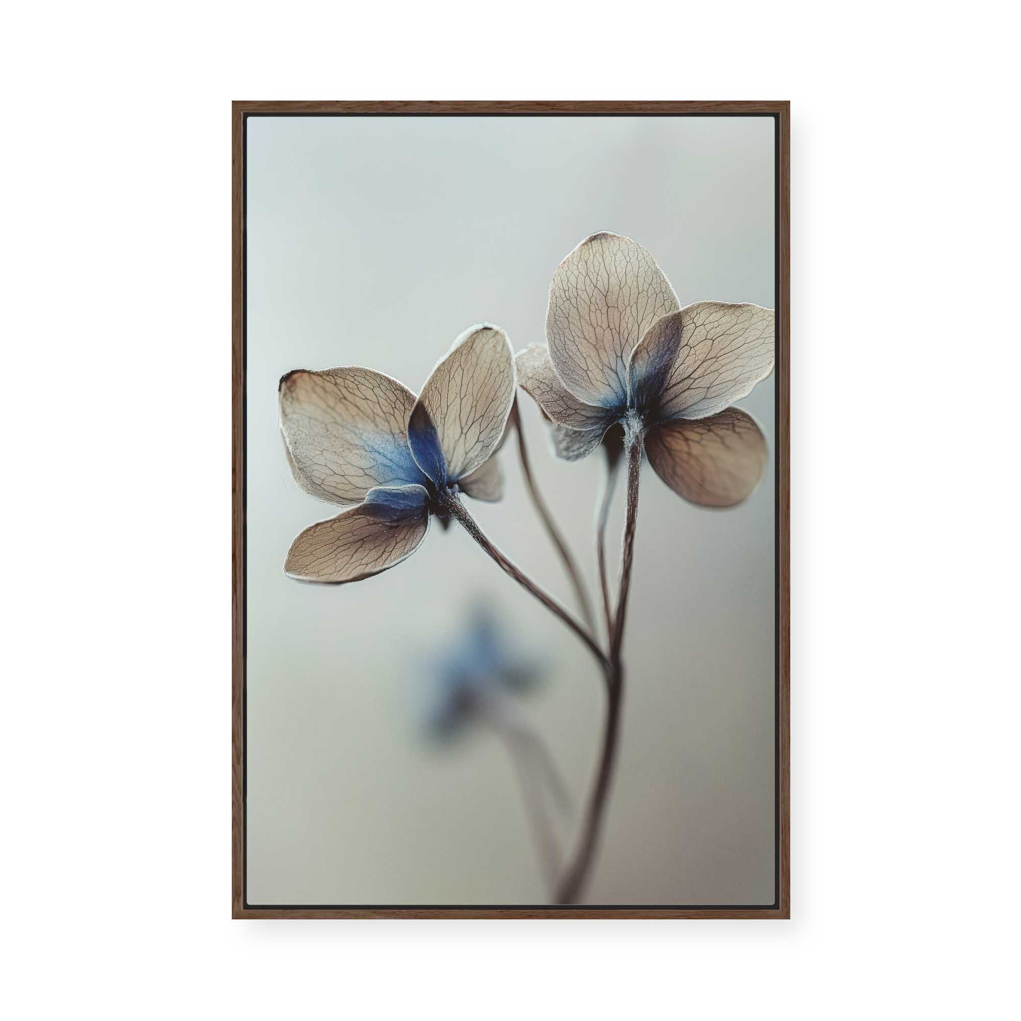 Whispers of Petals | Framed Canvas