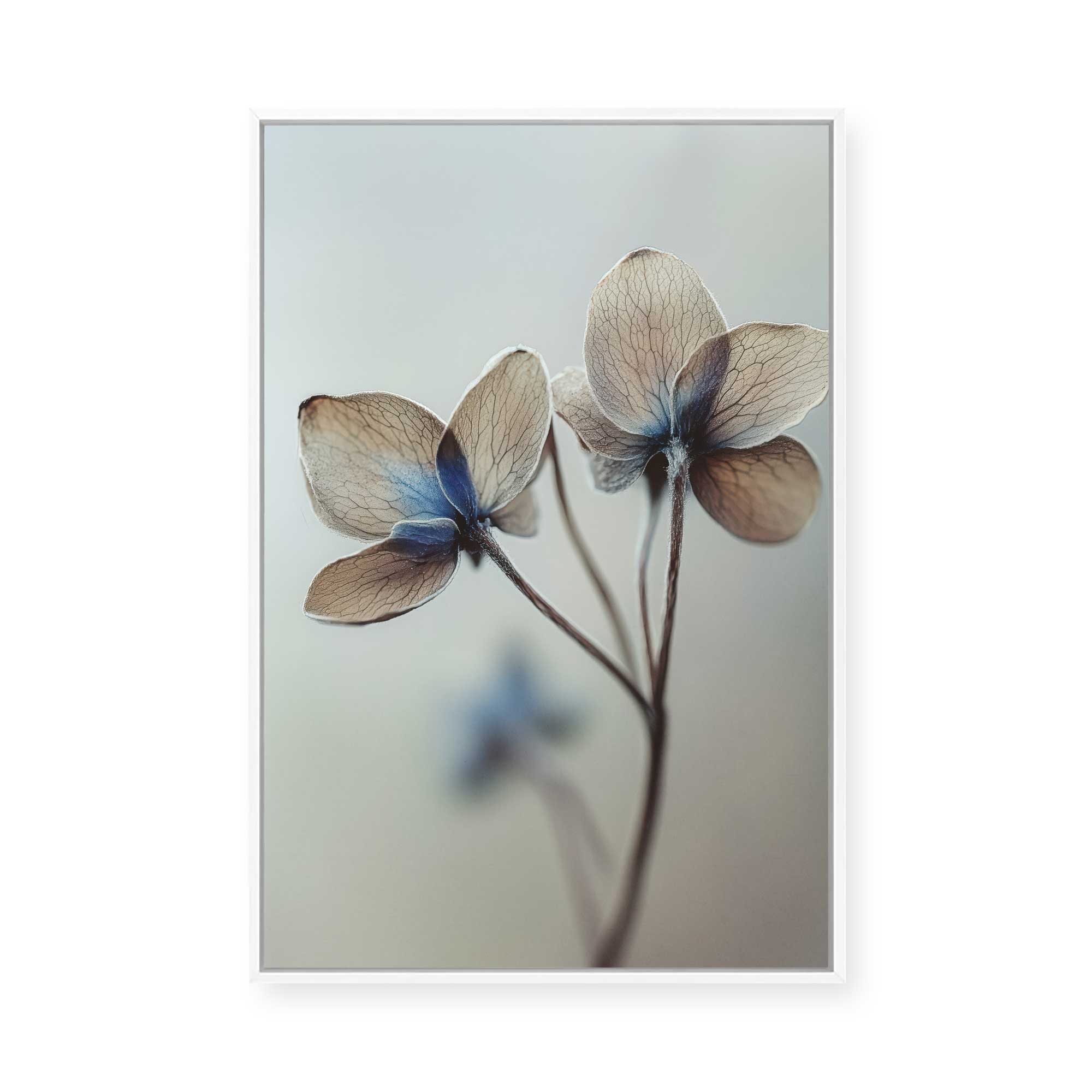 Whispers of Petals | Framed Canvas