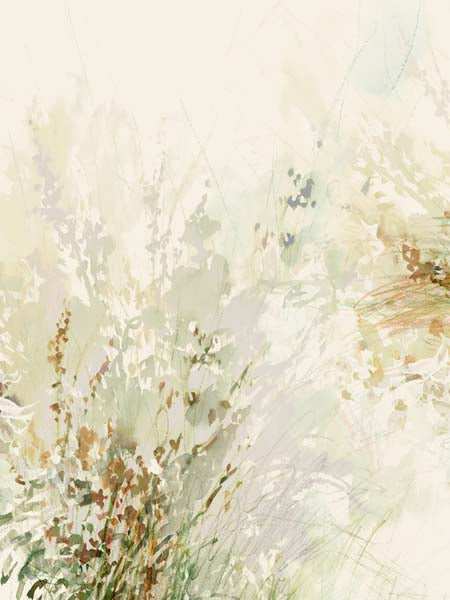 Whispers of the Meadow Breeze