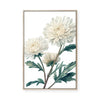 White Chrysanthemum | Framed Canvas