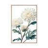White Chrysanthemum | Framed Canvas