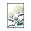 White Chrysanthemum | Framed Canvas