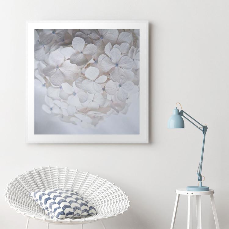 White Hydrangea | Katie Clulow