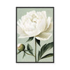 White Peony | Framed Canvas