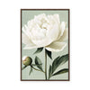 White Peony | Framed Canvas