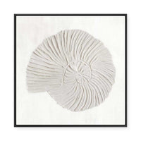 White Textured Shell II | Framed Canvas
