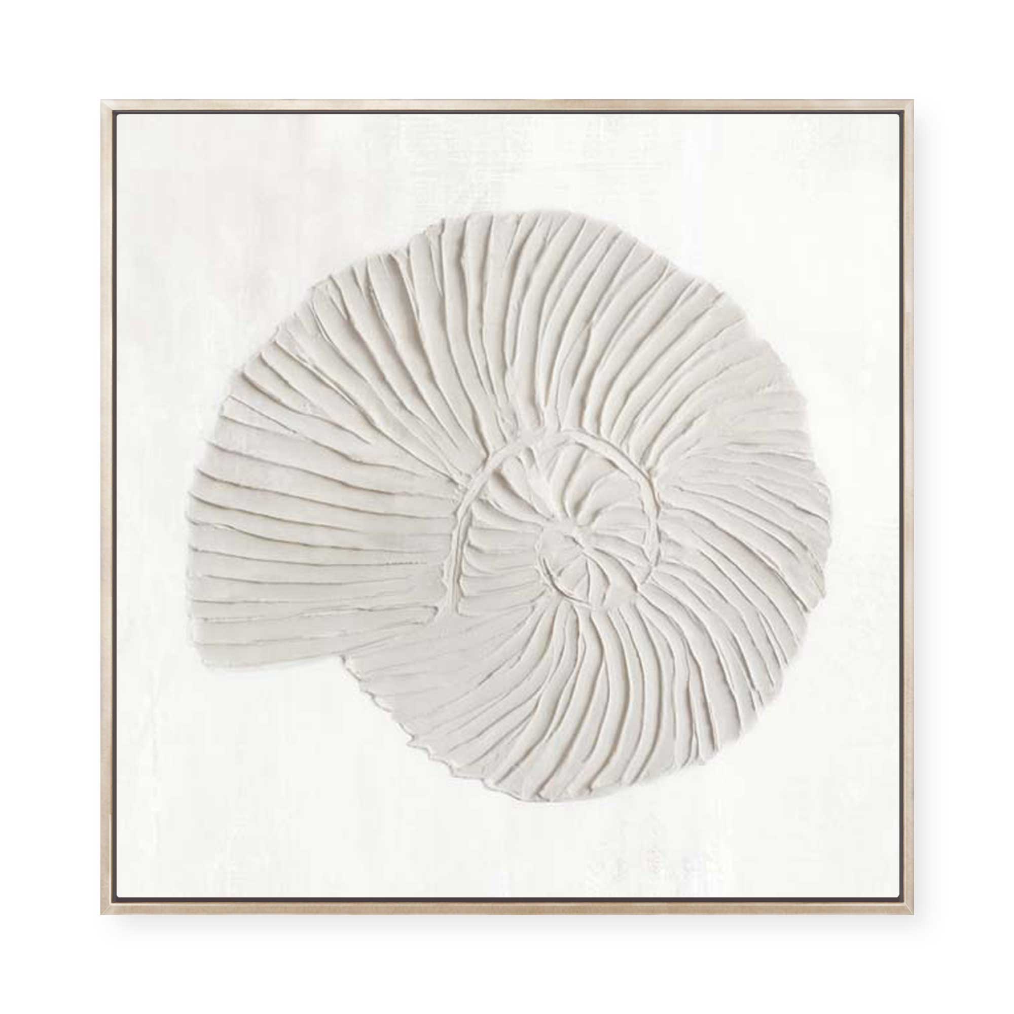 White Textured Shell II | Framed Canvas