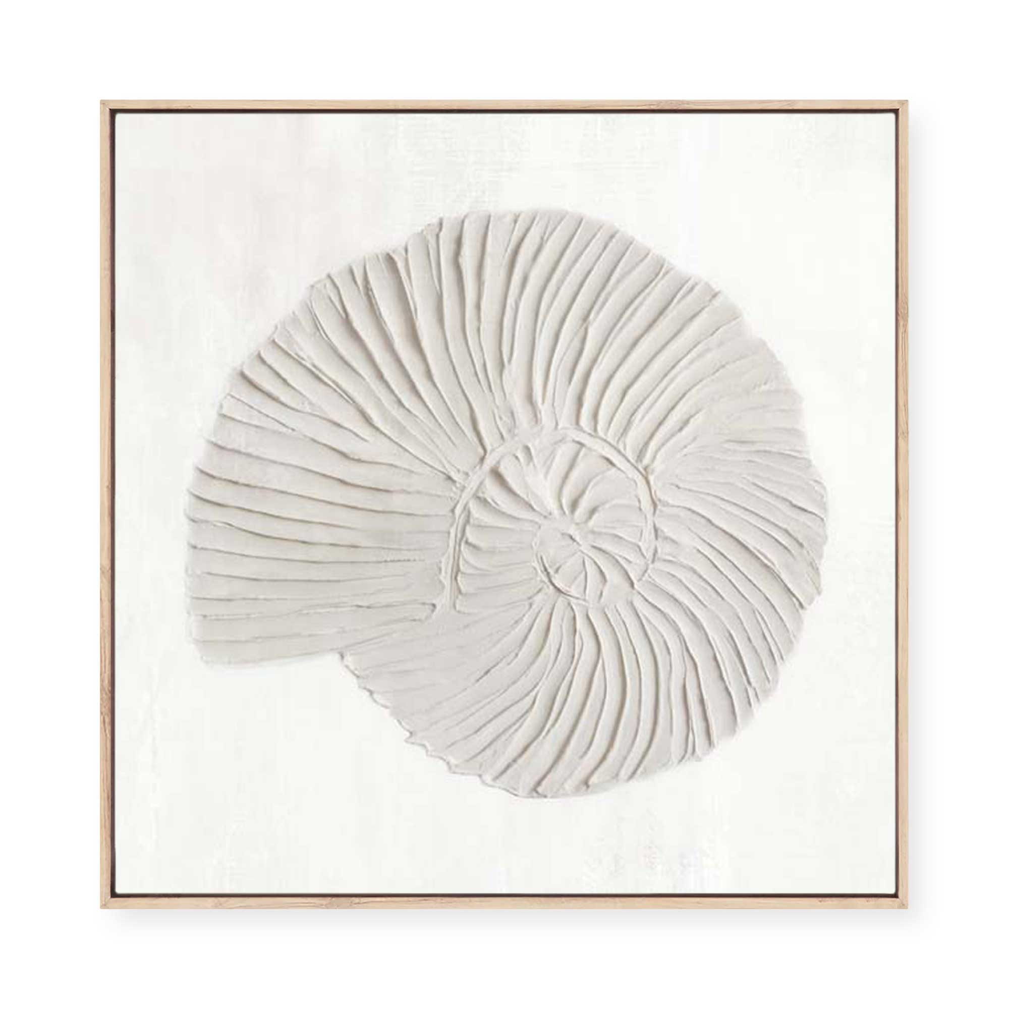 White Textured Shell II | Framed Canvas