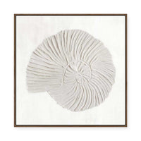 White Textured Shell II | Framed Canvas