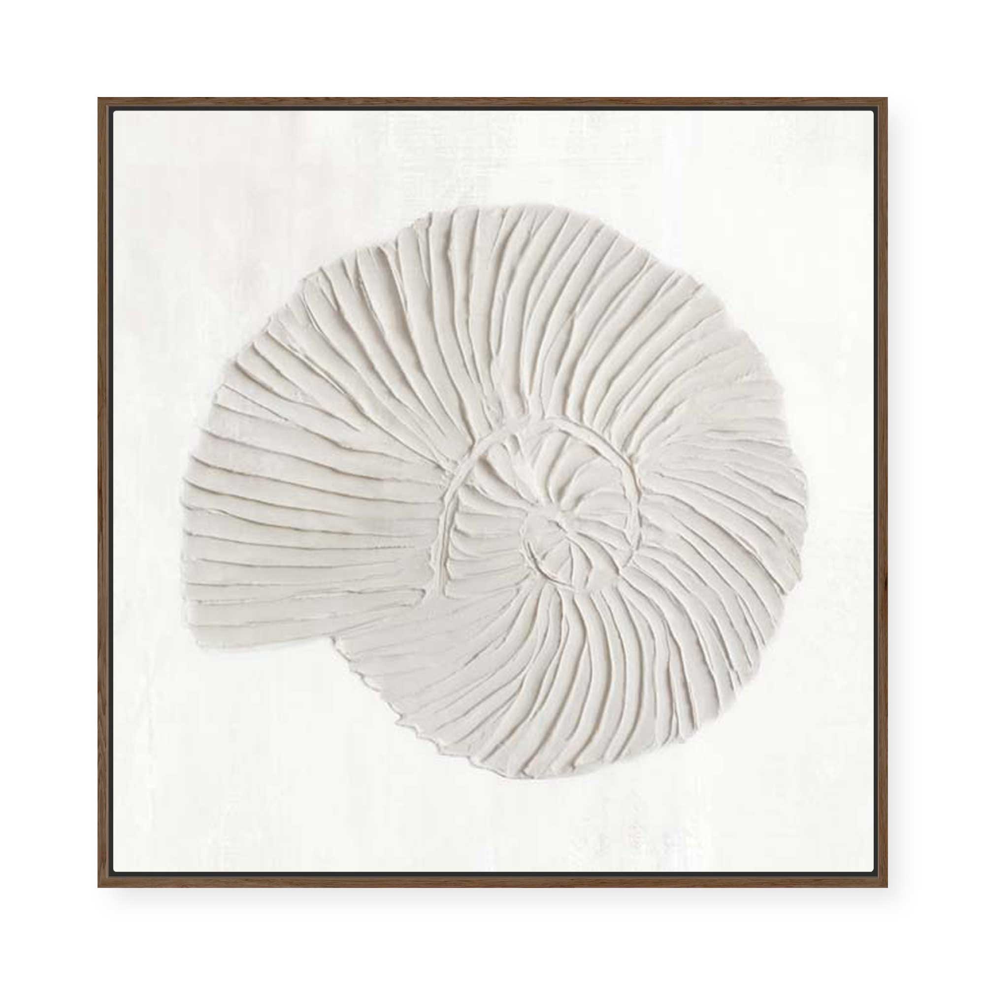 White Textured Shell II | Framed Canvas