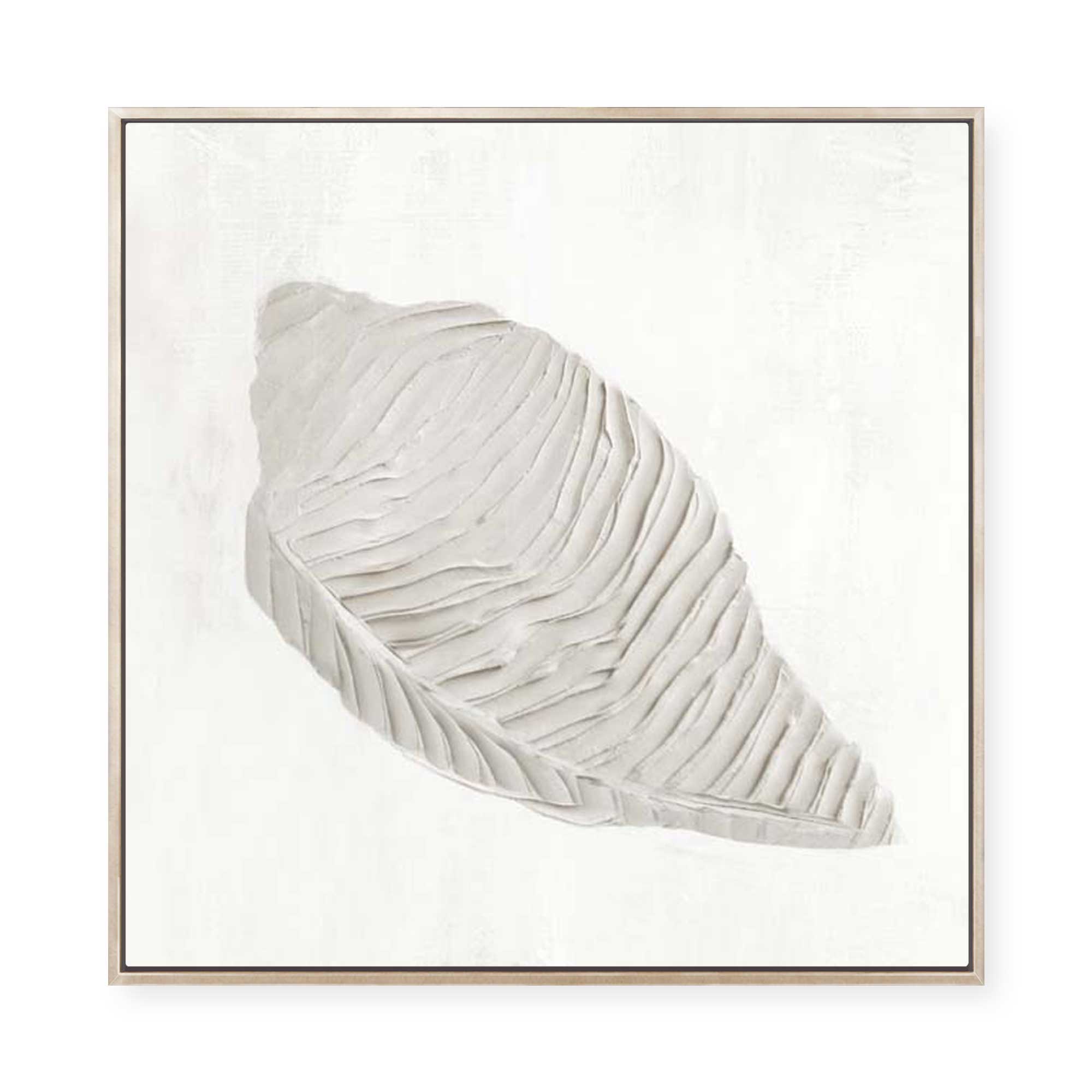 White Textured Shell I | Framed Canvas