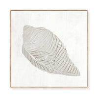 White Textured Shell I | Framed Canvas