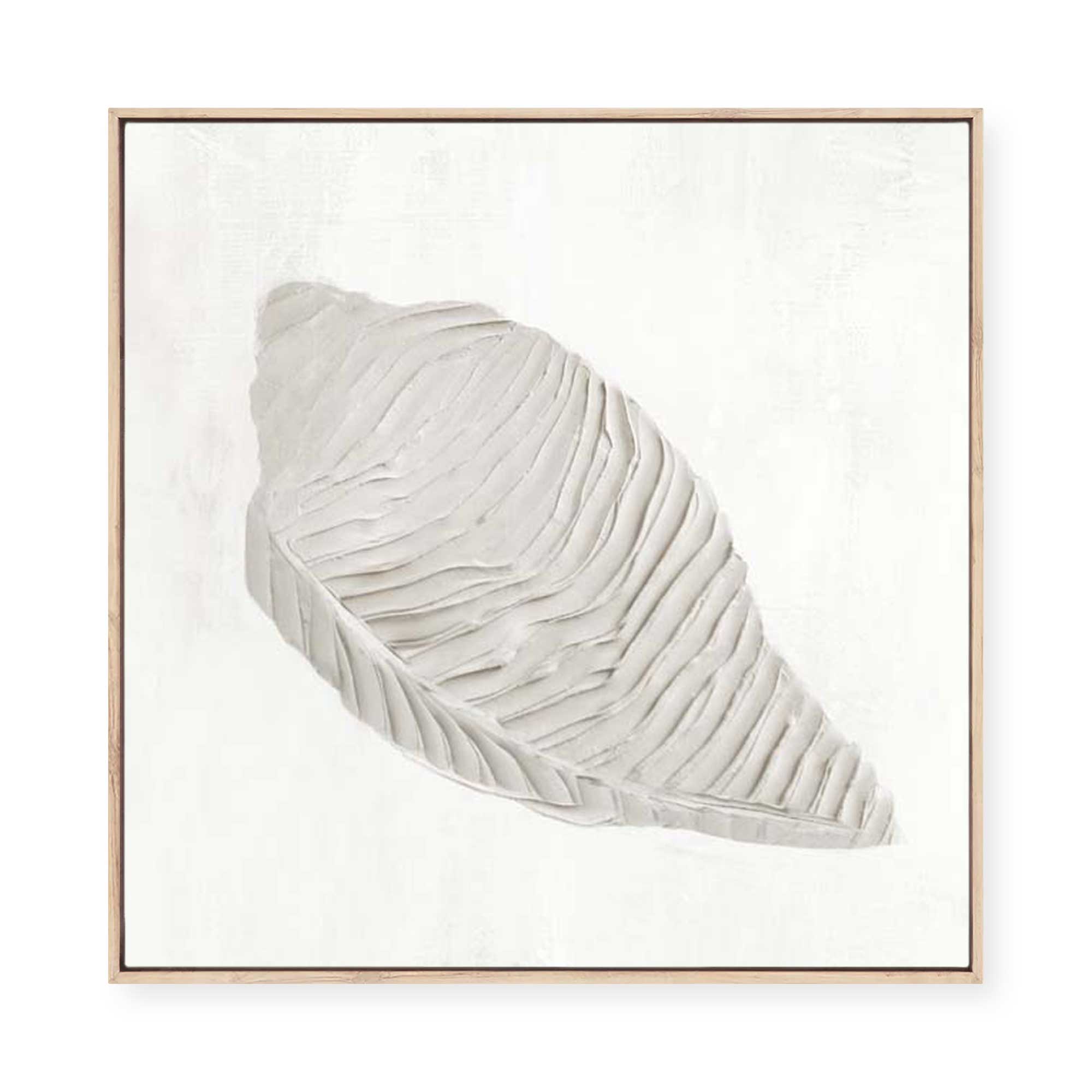 White Textured Shell I | Framed Canvas