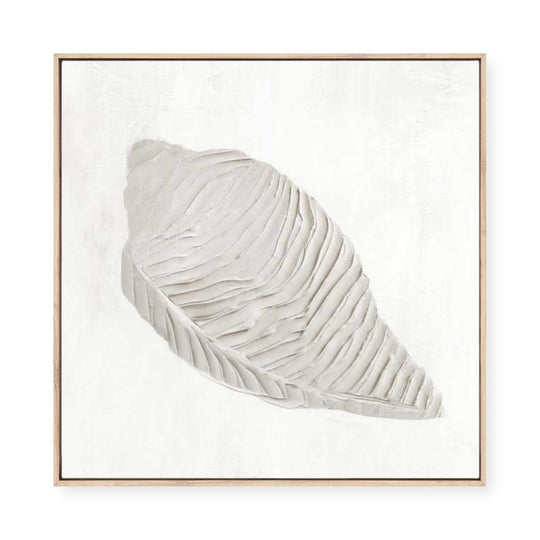 White Textured Shell I | Framed Canvas