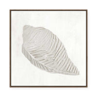 White Textured Shell I | Framed Canvas