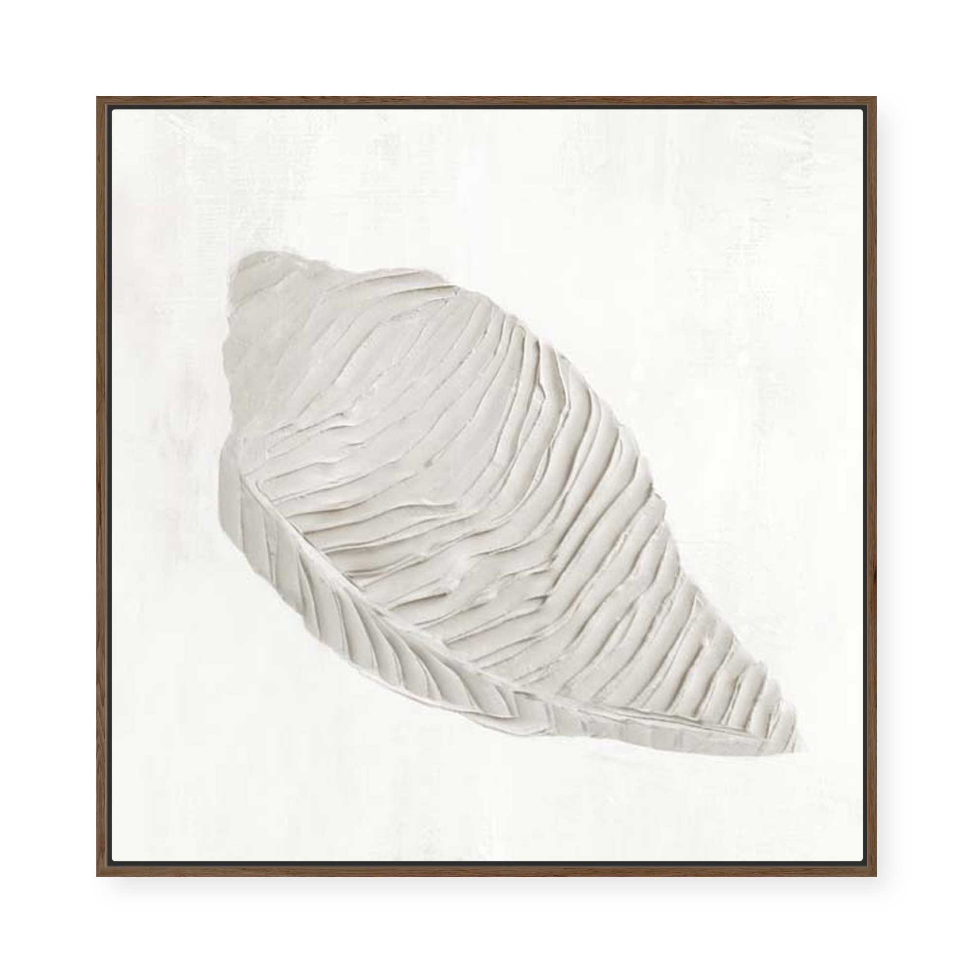 White Textured Shell I | Framed Canvas