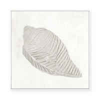 White Textured Shell I | Framed Canvas