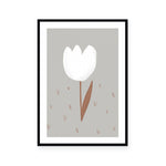 White Tulip