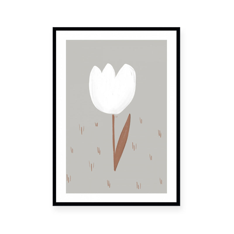 White Tulip