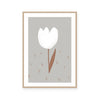 White Tulip