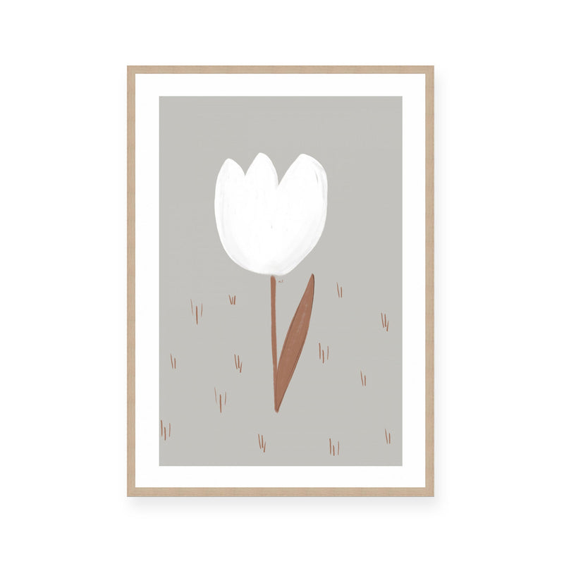 White Tulip