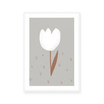 White Tulip