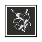 Wildflower I