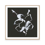 Wildflower I