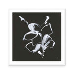 Wildflower I