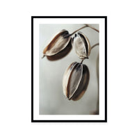Withered Elegance