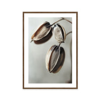 Withered Elegance