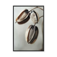 Withered Elegance | Framed Canvas