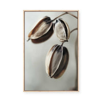 Withered Elegance | Framed Canvas