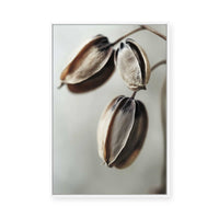 Withered Elegance | Framed Canvas