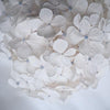 White Hydrangea | Katie Clulow