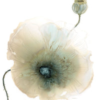 Iridescent Poppy I