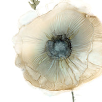 Iridescent Poppy II