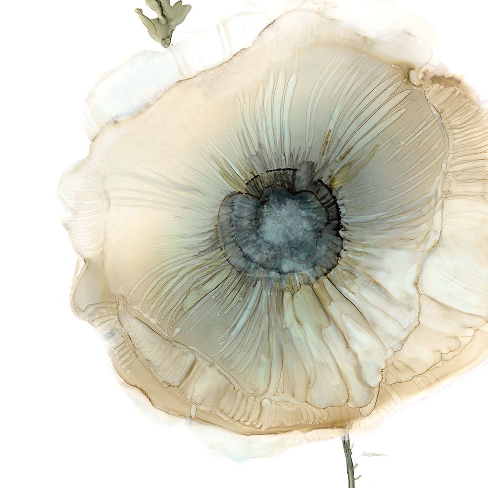 Iridescent Poppy II