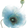 Iridescent Blue Poppy I